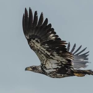 Meet your Posher, Jared